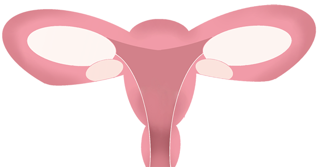 宫颈癌与男性有关?男女必知的常识!