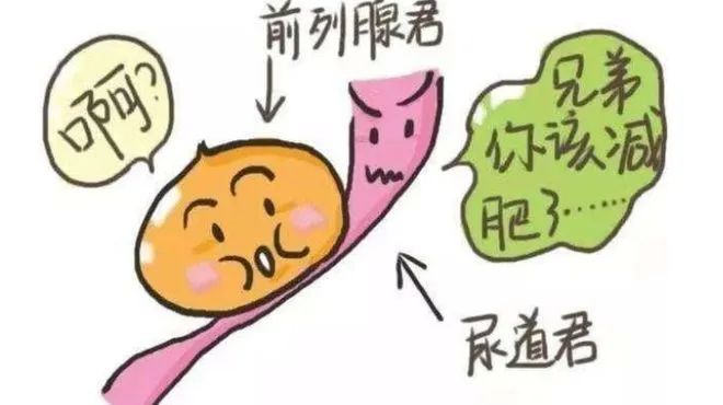 “腺”在烦恼？别让前列腺增生成为男人的“难言之隐”！