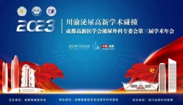 川渝专家齐聚四川泌尿外科医院 开展泌尿外科高新学术碰撞