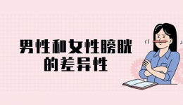 男性和女性膀胱的差异性
