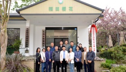 民建成都市乡村振兴委（崇州）基地在“稻田樱花”正式挂牌 农文旅融合助力乡村振兴再添新平台