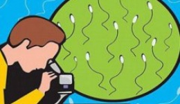 男性不育原因何在？